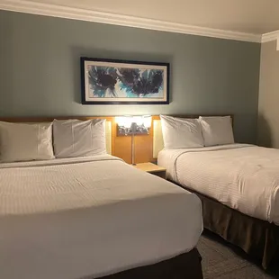 Double queen beds!