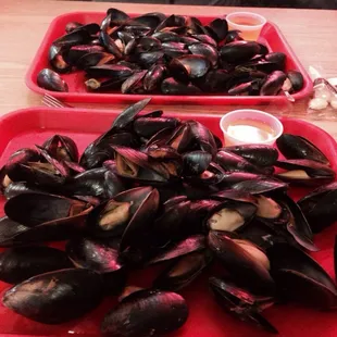 mussels, oysters, food, oysters and mussels, shellfish