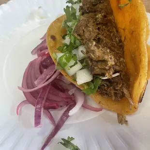 Quesa Birria beef taco