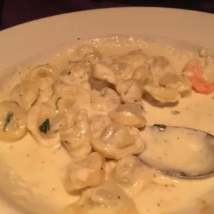 Tortellini Alfredo