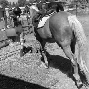 Dressed and walking to the arena for her lesson!