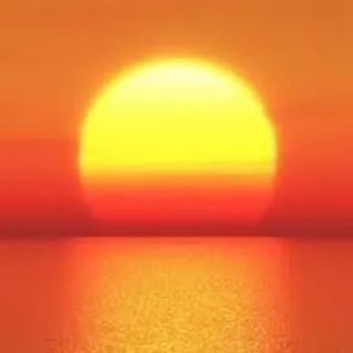 Sol M.