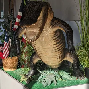 ALFIE, The alligator
