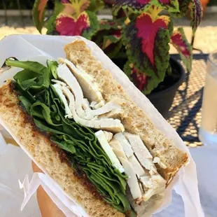 The Vw Sandwich