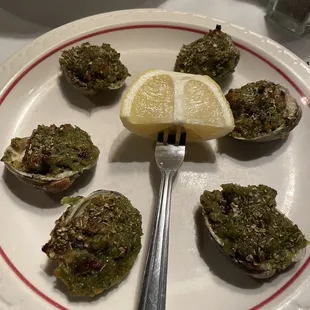 Clam