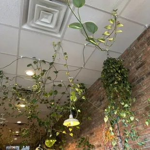 The ceiling decoration