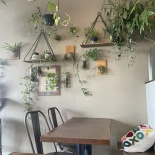 Lots of greenery... Made me so happy