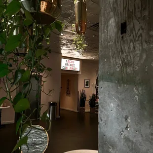 Shotgun (?) shell hanging planters