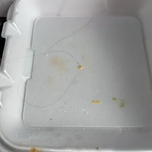 Hair in Carne Asada Fries