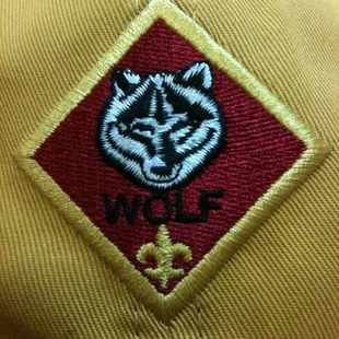 &quot;Wolf Den&quot; Cub Scout&apos;s meeting