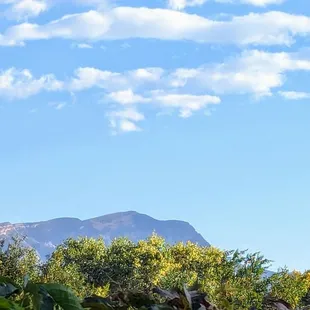Sandia crest as viewed from the distillery lawn