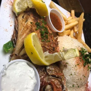 Red Snapper Fish