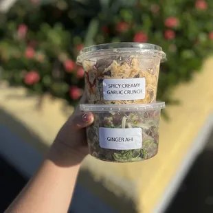 Spicy creamy garlic crunch and ginger ahi poke