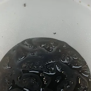 Ants in the sodas