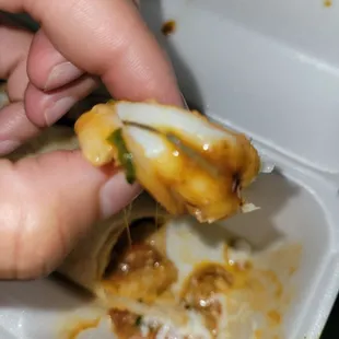 Close up of the shxr