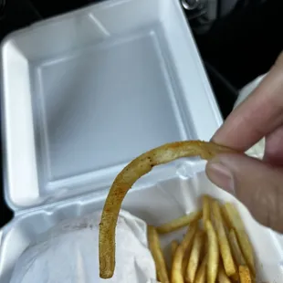 Seasoned fries