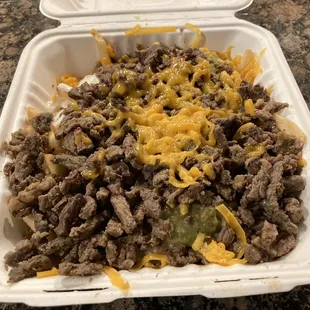 Carne asada fries