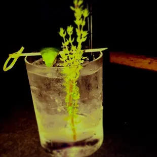 New Seersucker, &amp; Fever Tree tonic!