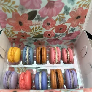 Alice & Kate Bakery
