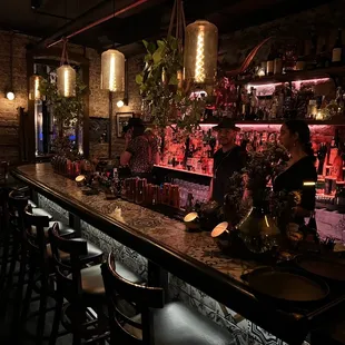 a bar with a long bar counter