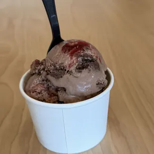 Alice Scooper's