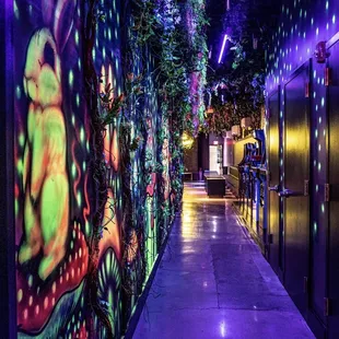 Down the rabbit hole we go at AliceDC