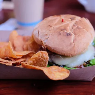 sandwich, sandwiches, food