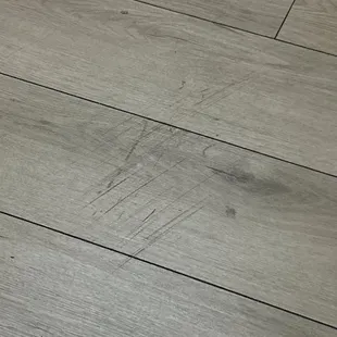 Floor