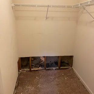 Pictures of the black mold