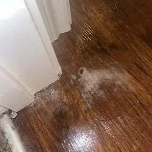 Roach I killed