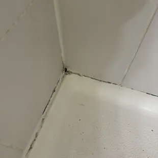 Disgusting shower that belongs in a crack house.