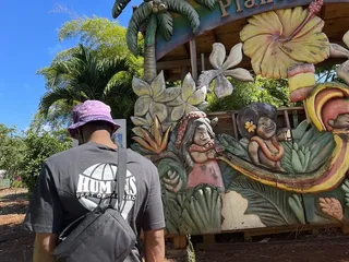 Aloha Trikke