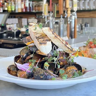 Mussels