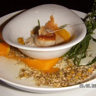 Scallop