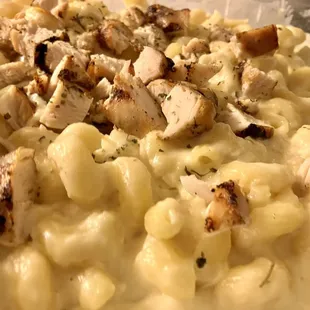 food, pasta dish, pasta