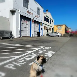 Need to come back when the place is open.