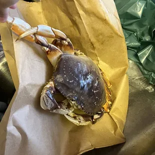 Fresh Canadian dungeoness crab