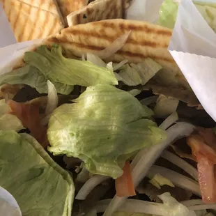 Gyro and homemade hummus