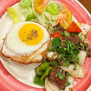 Diced Filet Mignon Beef with Rice