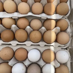 Eggs