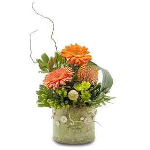 On The Branch  $72.95