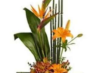 Teefeys Flowers And Gifts