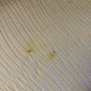 Just some of the junk that was dried on the bedspread