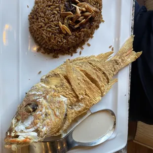 Red snapper fried