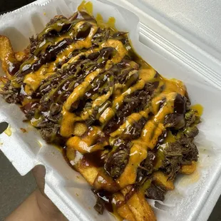 Detroit loaded fries