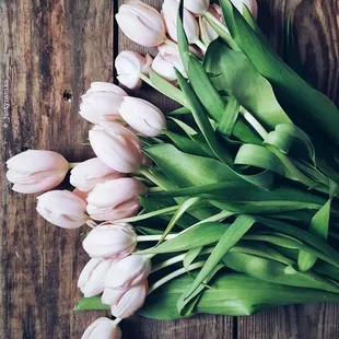 LOVE LOVE LOVE LOVE LOVE