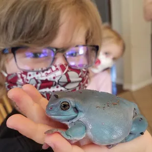White's Tree Frog - super sticky toes and pretty colors