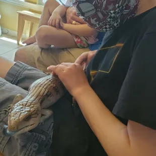 Blue-Tongued Skink - another super cool dinosaur of a lizard. Very chill.