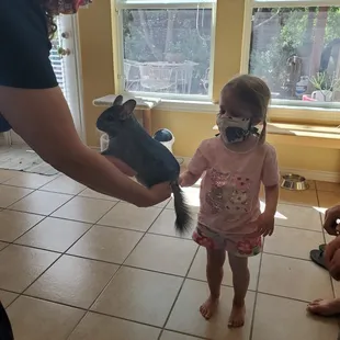 Bad backlit pic, but the chinchilla is the softest creature on earth - lil ball of fluff!