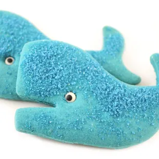 Silly Sugar Whales